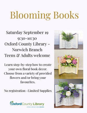 NOR - Blooming Books NOR - Blooming Books